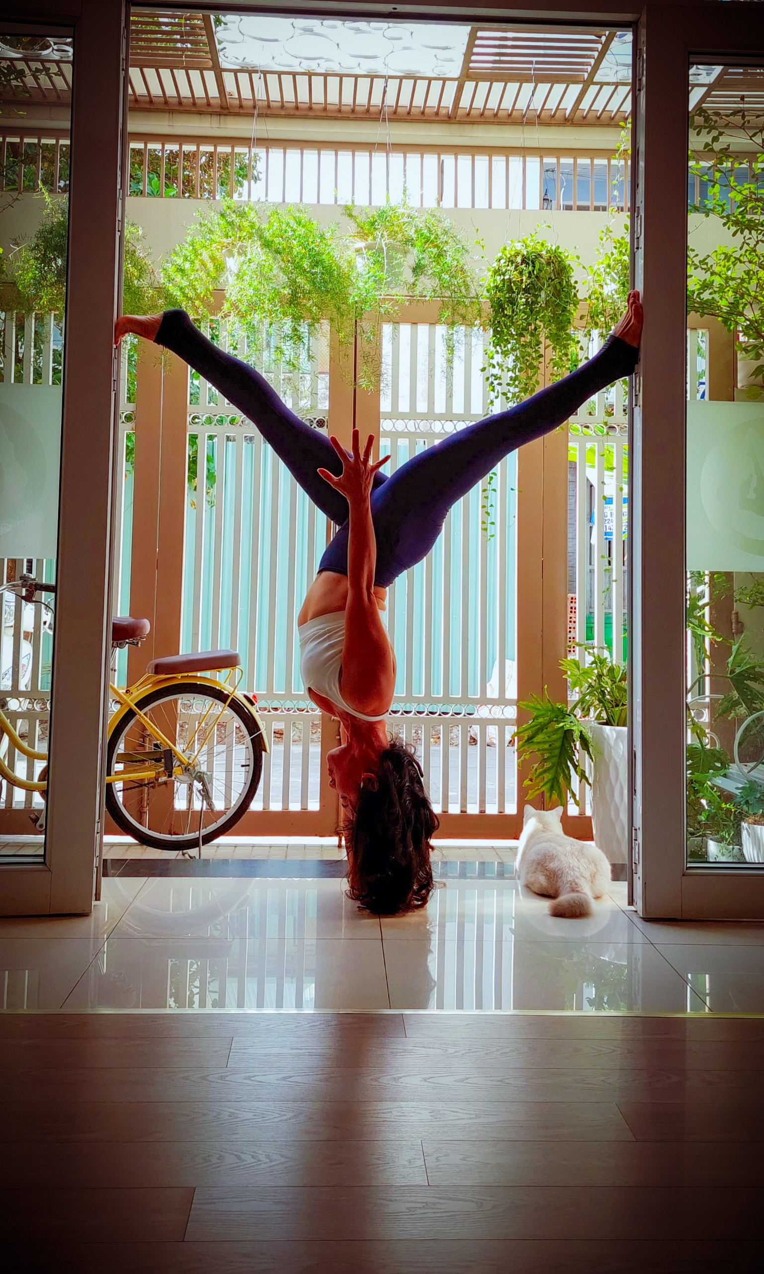 PHÒNG TẬP YOGA BAY CHIỀU CAO TIÊU CHUẨN QUỚC