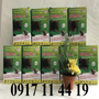 MUA THUỐC DIỆT CHUỘT Ở ĐÂU HCM