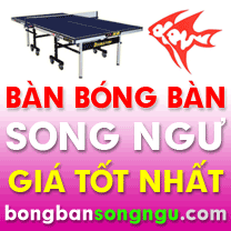 Bàn bóng bàn DoubleFish giá rẻ